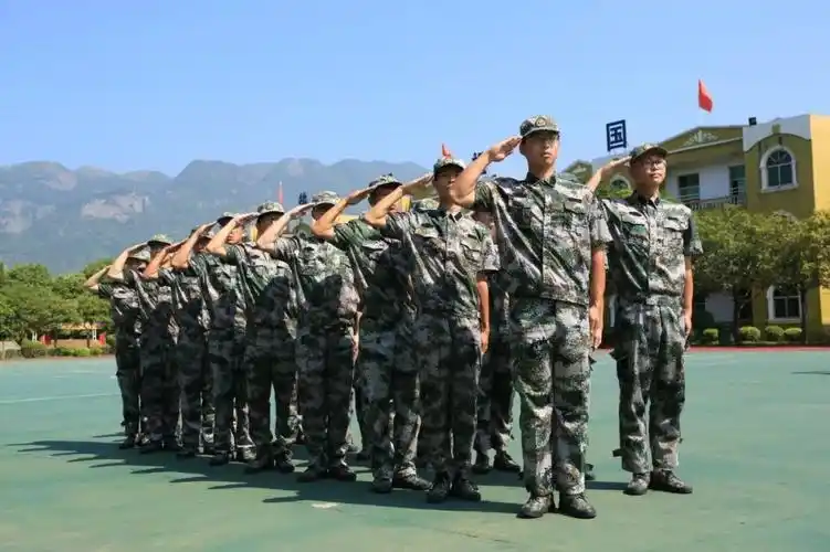 他们,向着未来敬军礼_动作