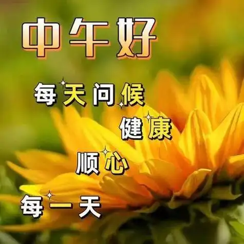 中午好图片大全中午好问候午安祝福夏日安康