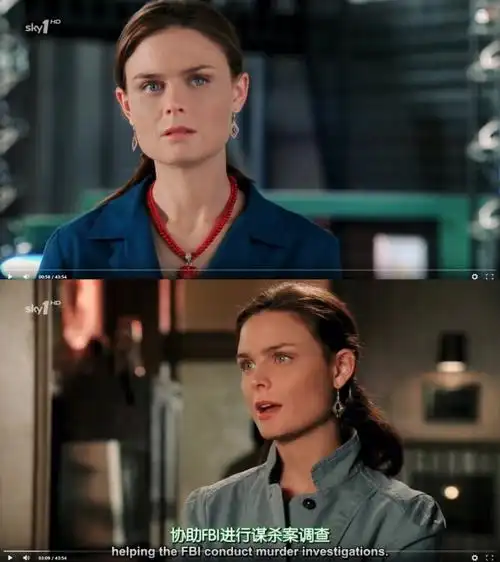 识骨寻踪第一季