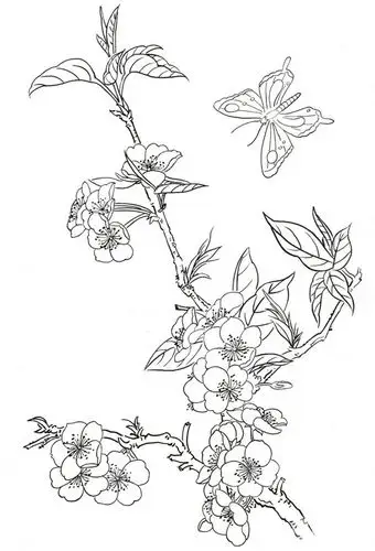 学画画 国画教程 工笔画    枝干局部的画法    二,桃花蝴蝶白描组合