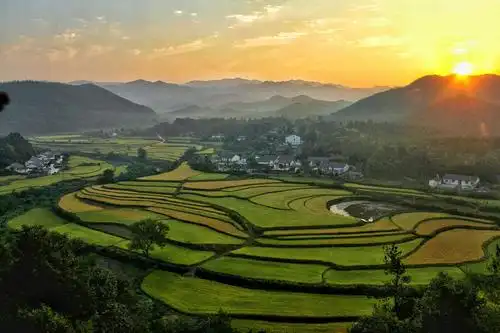 美丽乡村《晨韵》