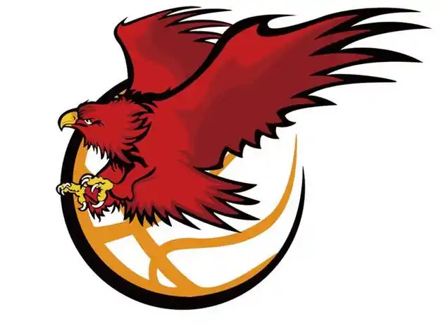 权威认证i动小雄鹰获得版权认证