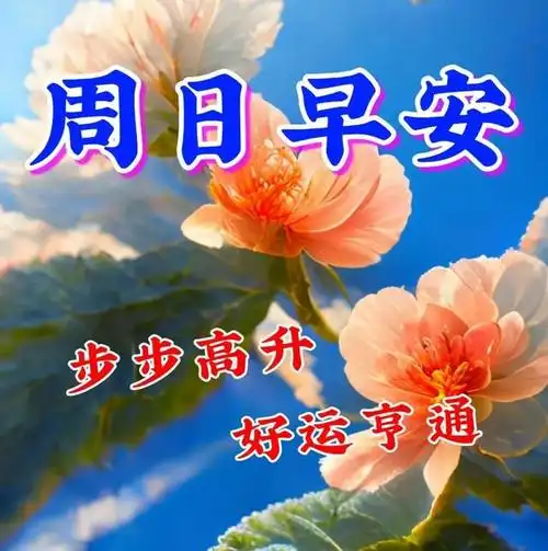 周日早上好,温馨暖心早安祝福图片语问候语