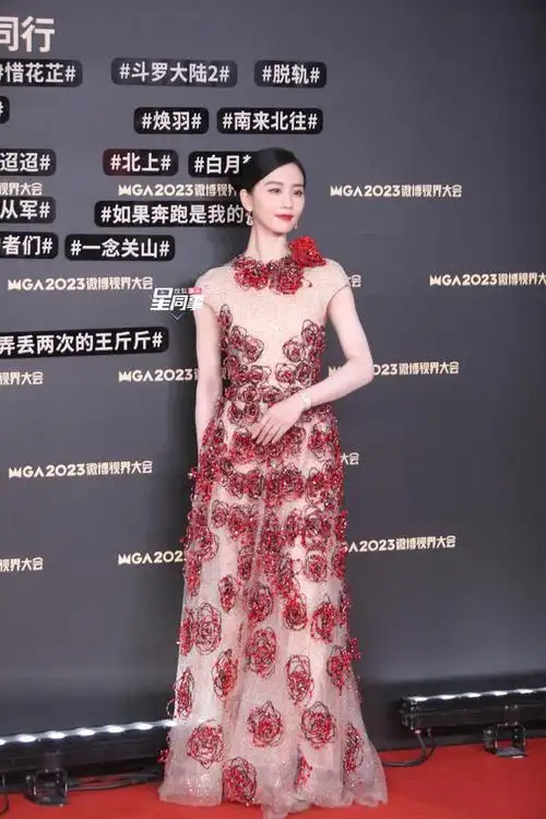 刘诗诗出席微博视界大会网友说刘诗诗美貌与气质拯救了这件礼服