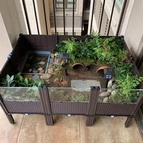 奇甲龟舍淘宝安缘东箱饲养盒佛箱三趾角蛙苗半水箱带盖乌龟草龟带