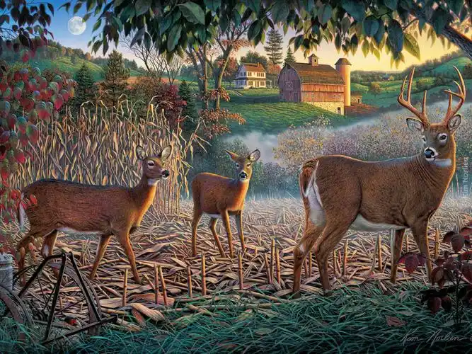 壁纸油画鹿
