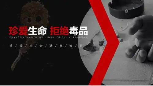 禁毒知识宣传教育培训课件16素材ppt模板精选