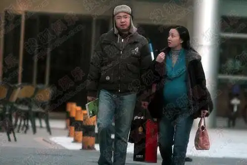 独家组图:陶虹本月产子 大肚产检徐峥贴身呵护