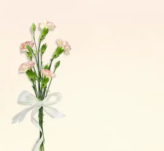 花朵朋友圈背景-花朵情感朋友圈封面背景图片-图司机