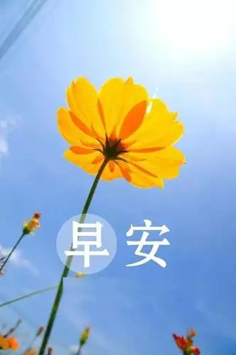 早晨最美的祝福温馨语句,2020早上好文字祝福语图片