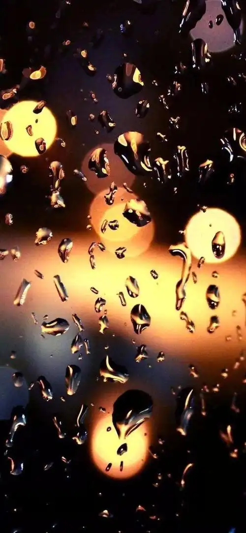 苹果最火壁纸,苹果11最火壁纸-图片大观-奇异网