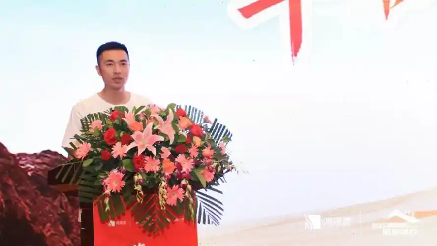 革故鼎新砥砺前行深圳市侨商会常务副会长赖俊霖企业鸿荣源集团戈壁