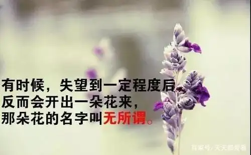 2020年感悟人生的心情语句,简单而走心的心情说说