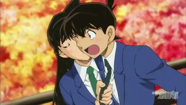 工藤新一x毛利兰