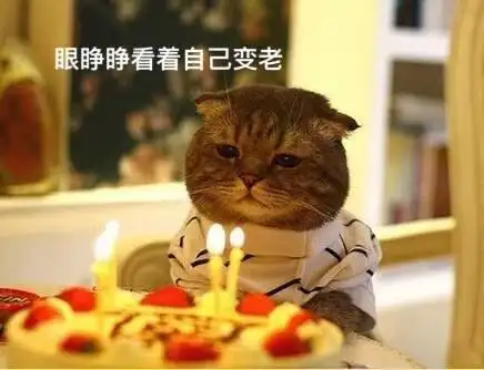 大家祝我生日快乐表情包 - 大家祝我生日快乐微信表情包 - 大家祝我