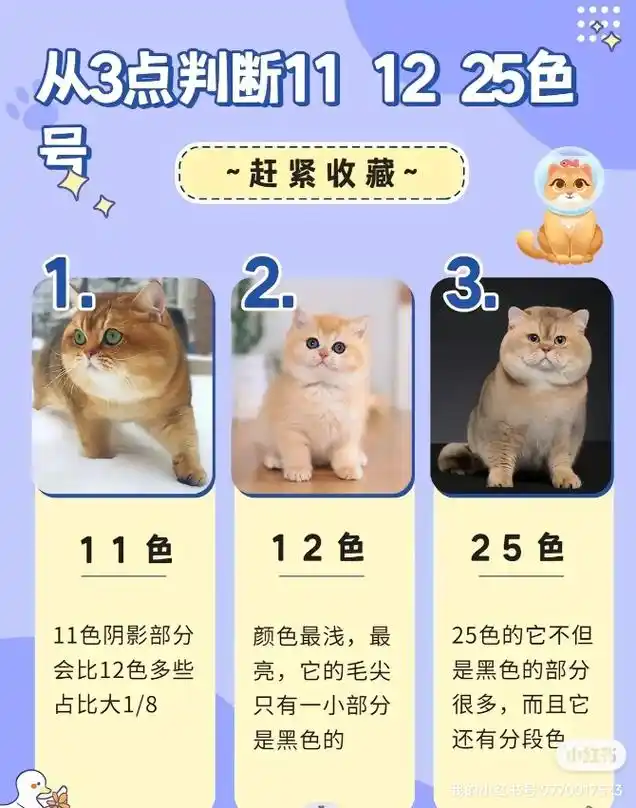 如何区分12色,11色,25色金渐层?