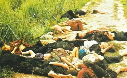 1968年,美越战争中,在一个名叫美莱村的偏僻小村庄,美军士兵有组织地