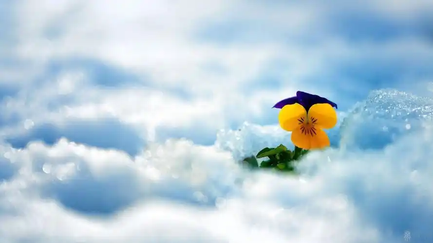 2020年一月正月十九日出生的男孩八字起名,儒雅好听的名字大全