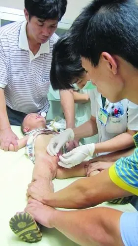 两岁男童"小鸡鸡"遭藏獒咬伤被送医(图)