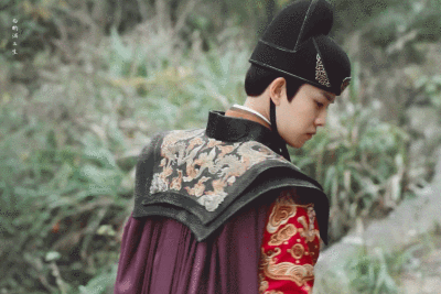 任嘉伦,锦衣之下