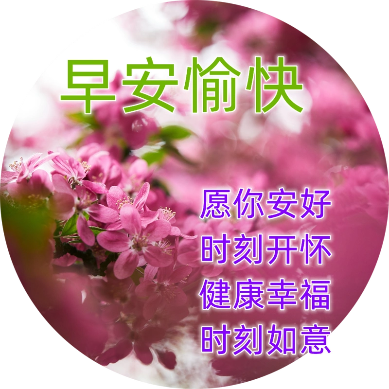 早上好问候语 最新早上好精致图片 最新微信最新带字早上好图片