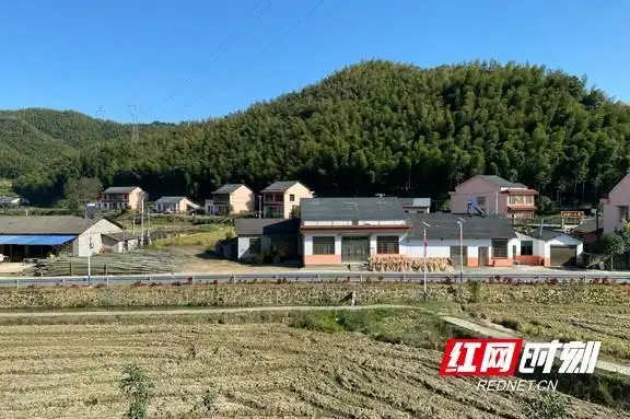 益阳:让"艾上扫除"擦亮乡村振兴秀美底色