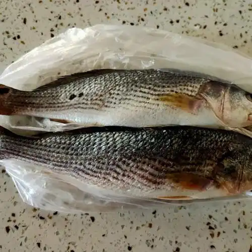 红烧铜锣鱼,色泽红亮,鲜美无敌