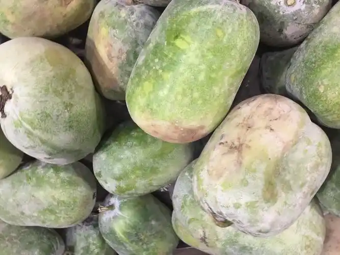 圆冬瓜0.59元一斤