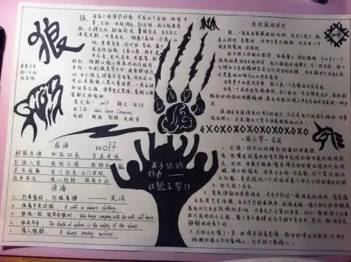 战狼的观后画的手抄报关于狼的手抄报