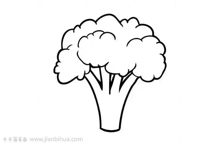 西兰花用简笔画画的最简单