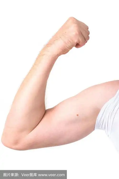 强壮的人类手臂-奥伯手臂训练健身
