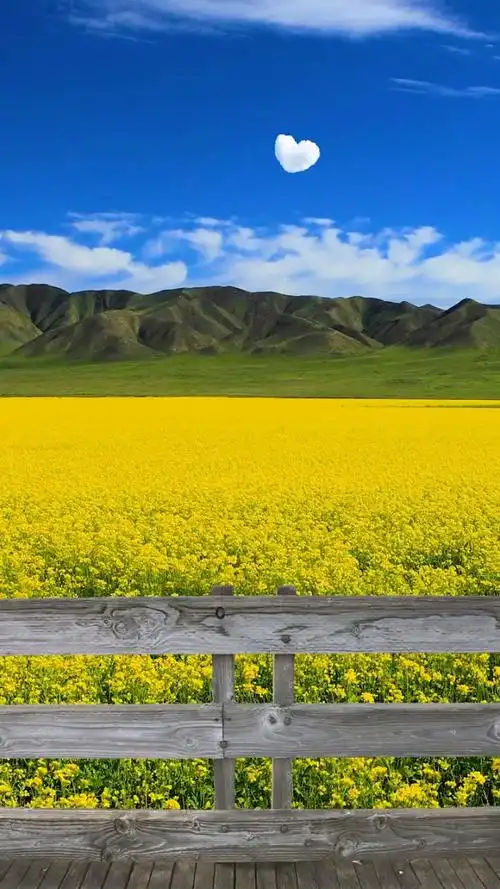 最好的地方,最好的时光,是回不来的!2021年夏天最美的阳光!