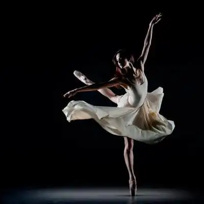 收集   点赞  评论  芭蕾舞者 励志 头像 壁纸 让我念念不忘的是惊鸿