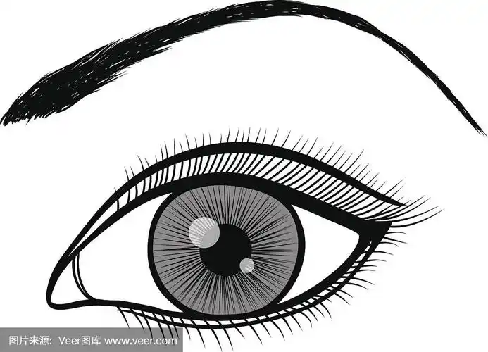 女性眼睛的黑白轮廓.