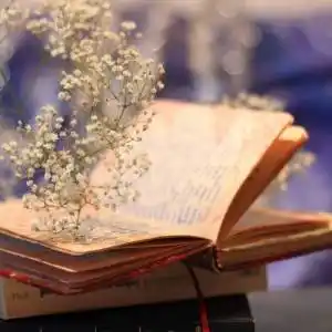 书本头像图片精选 微信书本头像图片大全 - 头像图片 - 潮人个性网