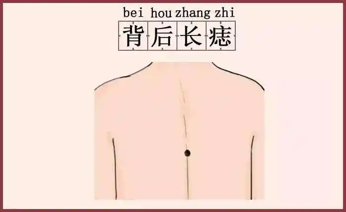 背里有痣的人,他们终身都有靠山,从小父母心疼着,长大后,常常父母会给