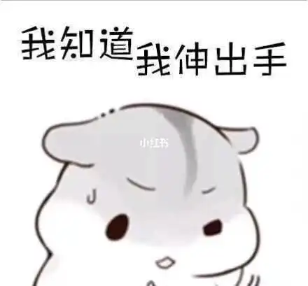 谁要跟我走,举个爪爪