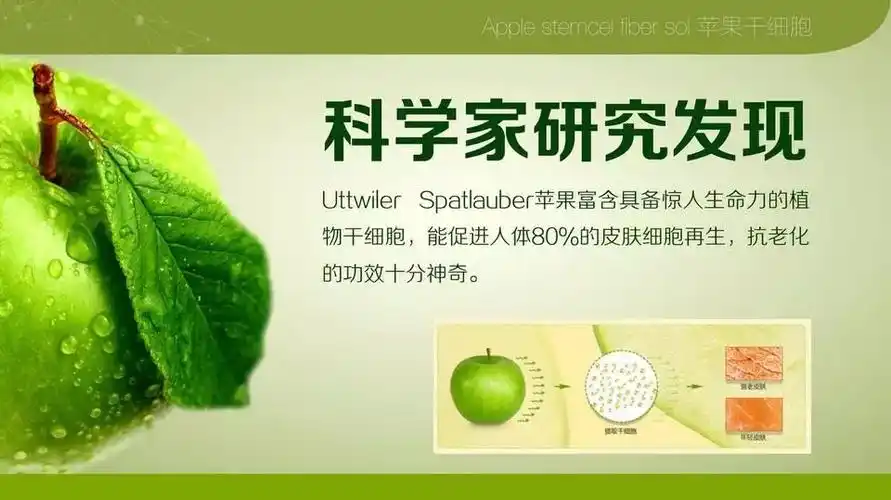 美极客苹果干细胞对人体各大系统的作用