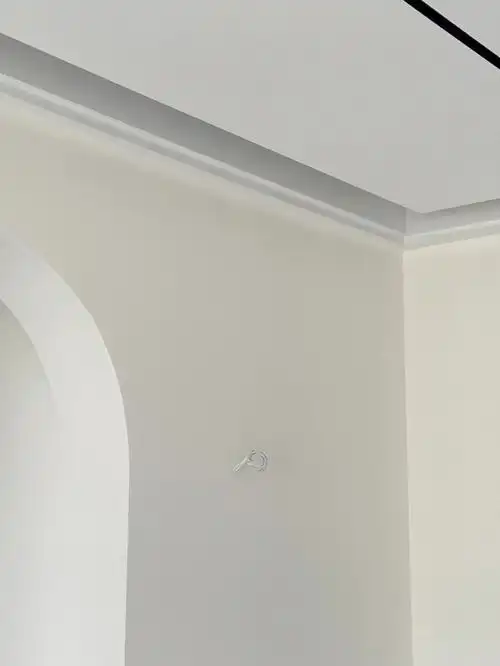 立邦珍珠白好好看哦