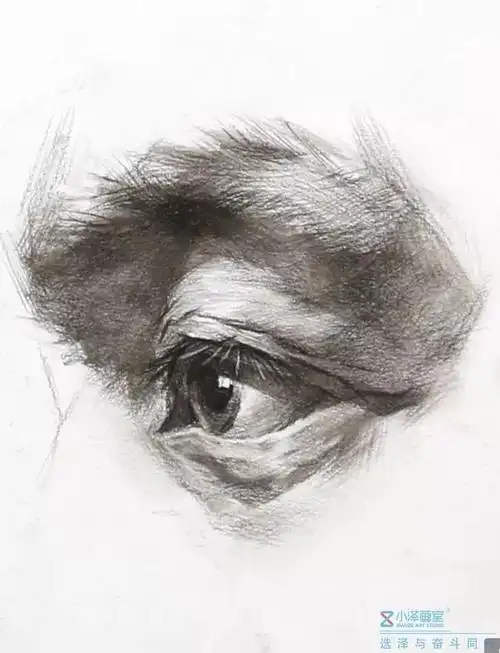 【干货】五官系列 | 青年侧面眼睛步骤解析