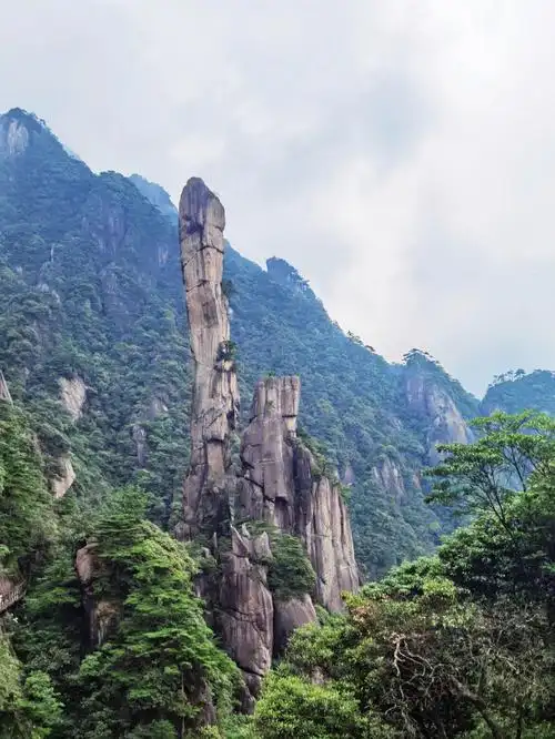 闽浙赣游13三清山