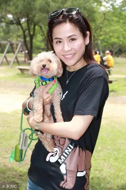 情路坎坷宣萱五段感情无疾而终与古天乐有缘无份50岁仍单身