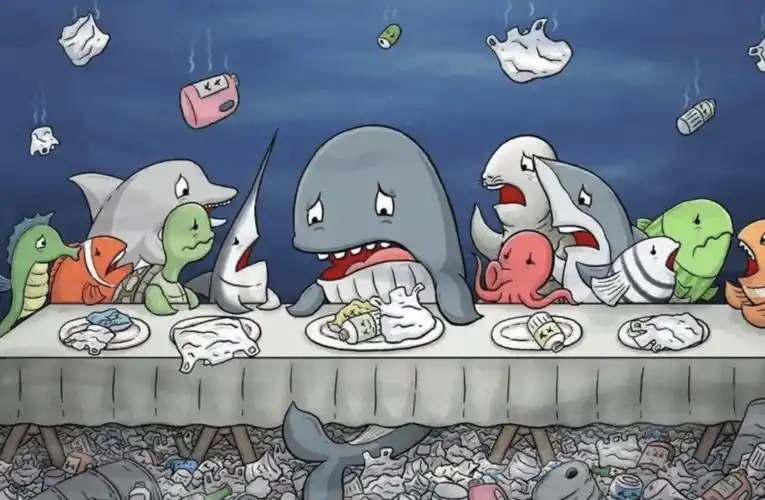 快手赶海季来啦黄渤邀你共享海洋馈赠共护海洋环境