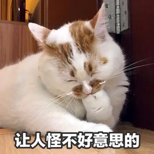 楼楼猫可爱萌宠表情包头像沙雕搞笑