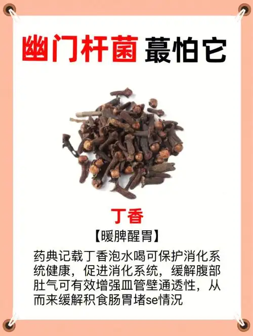 幽门螺杆菌感染胃炎总是犯喝它清茵养胃
