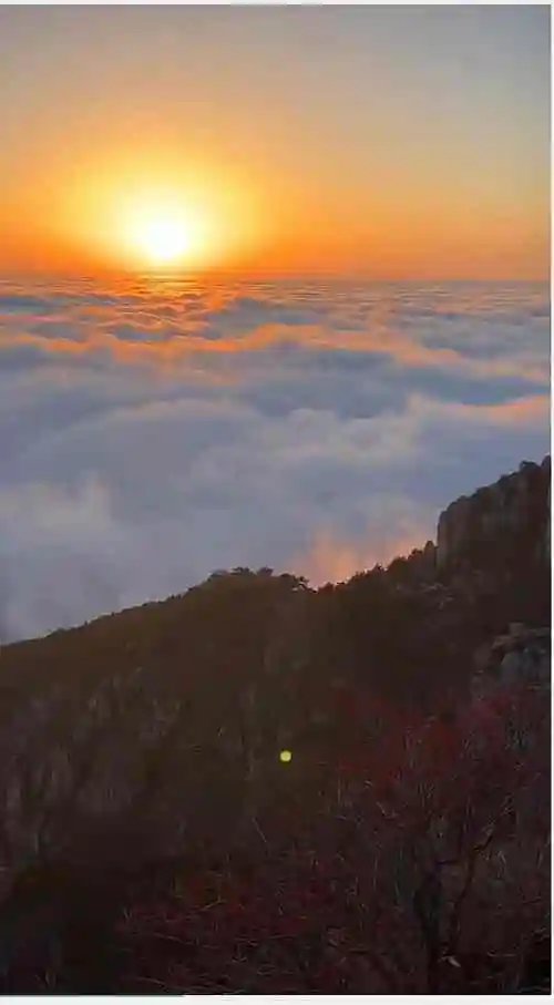 泰山之颠,紫气东来,云海玉盘,国泰民安!