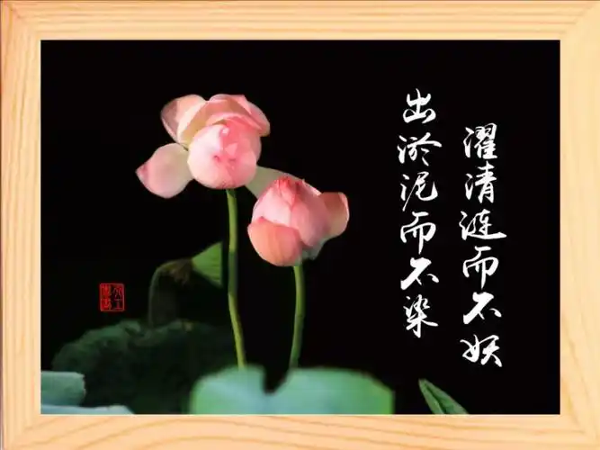 营养书画进口实木框画摆件出淤泥而不染濯清不妖5款现代装饰画