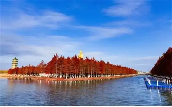 江苏盐城盐都区纵湖初冬如诗如画