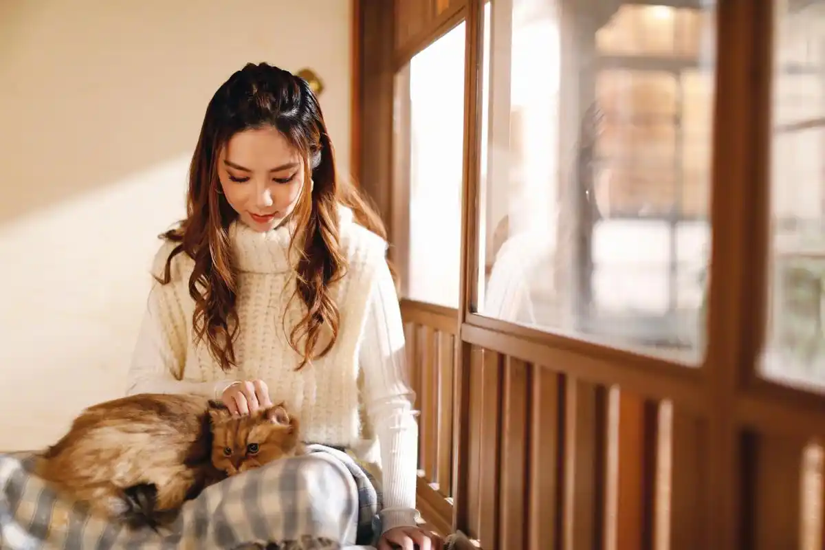 梦三年an _ 哔哩哔哩相簿