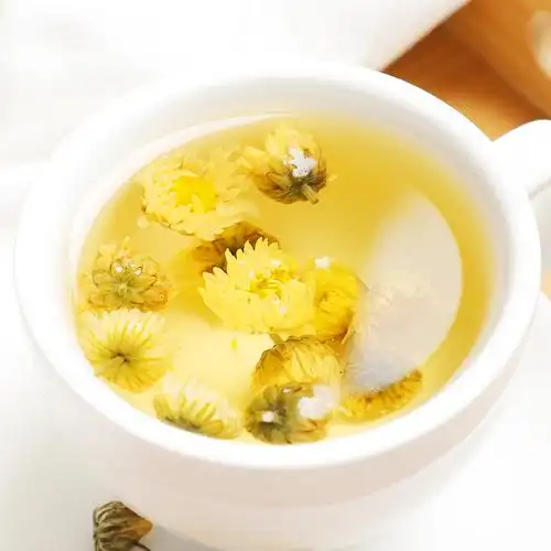 胎菊花茶优质无熏无添加桐乡杭白菊泡水凉茶大罐代用